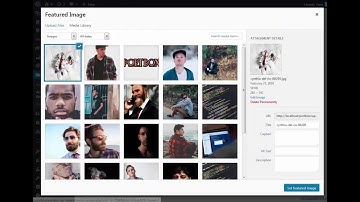 PortBox Theme Customization - Portfolio Section