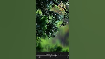 وَاسْتَعِينُوا بِالصَّبْرِ وَالصَّلَاةِ 🥹♥| تلاوة خاشعة للقارئ سليمان تاغدة| محاكاة #عبدالرحمن_مسعد