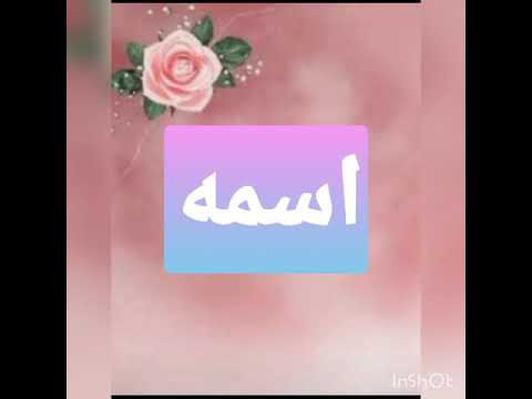 علماء مسلمين ابن النفيس