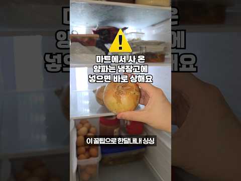 마트에서 산 양파를 냉장고에 넣으면 금방 상해버립니다. 집에 남는 마스크를 이용한 살림꿀팁으로 한 달 내내 싱싱한 양파보관법! thumbnail