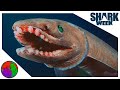 A Living Fossil? Or a Sea Serpent? | Frilled Sharks | SHARKWEEK