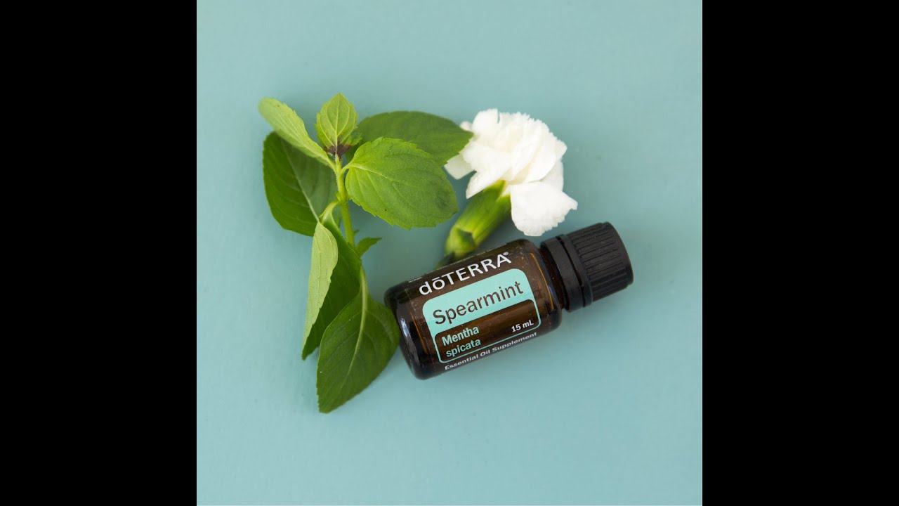 Мята Колосистая. - YouTube