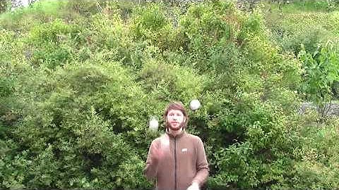 Juggling Tutorial: 5 ball siteswap 645: Part I