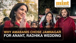 Why Ambanis Chose Jamnagar For Anant And Radhikas Wedding Watch