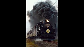 『 C57180＋12系客車・快速 SLばんえつ物語 [8226レ]』2020/11/3(JR磐越西線・笈川駅～堂島駅｢第2学校前踏切｣)‬ ※ 通常デフラストラン