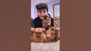 dudada dudada tiktok funny compilation (Click Subscribe)