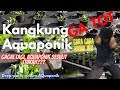 Katanya Aquaponik gampang ternyata tanam kangkung gagal
