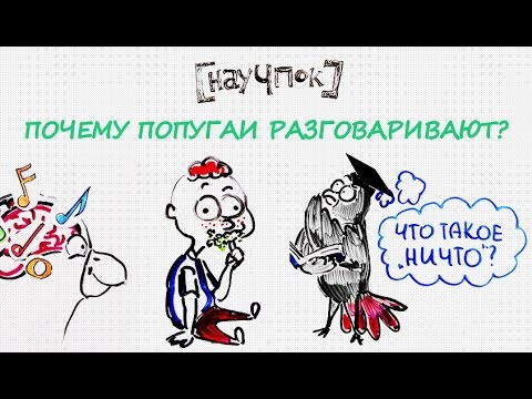 Почему попугаи разговаривают? — Научпок