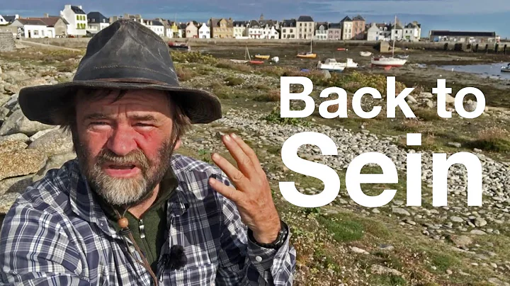 Back to Sein
