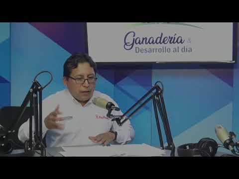 GANADERÍA Y DESARROLLO AL DÍA