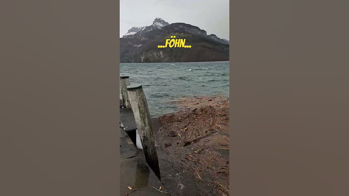 Föhn bringt viel Holz nach Brunnen #lakelucerne #storm #schwyz #sturm #uri #föhnsturm #ostern #2024