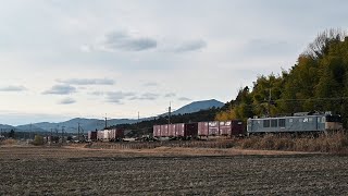 EF64 1037牽引高速81レ千旦林トンネル通過(2026.2.7)