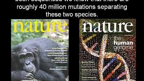 Big Numbers made so easy even a creationist may understand.