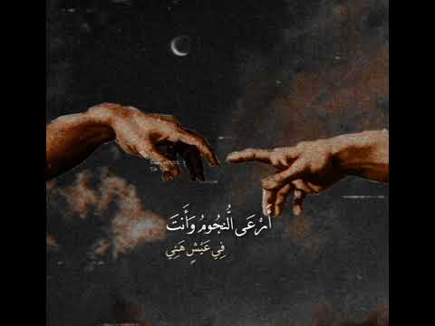 تركتني حيران صبا هائما هادئة