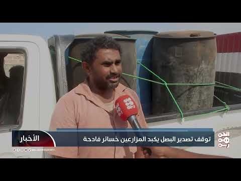 توقف تصدير البصل يكبد المزارعين خسائر فادحة