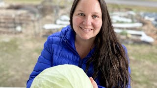 Harvesting Fresh Produce IN JANUARY from my SUBURBAN GARDEN by Bri From Scratch 25,575 views 3 months ago 17 minutes