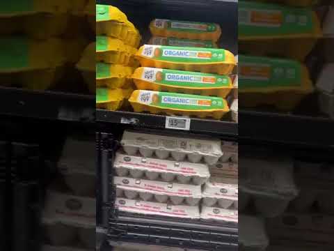 اسعار البيض بالدولار في اليابان