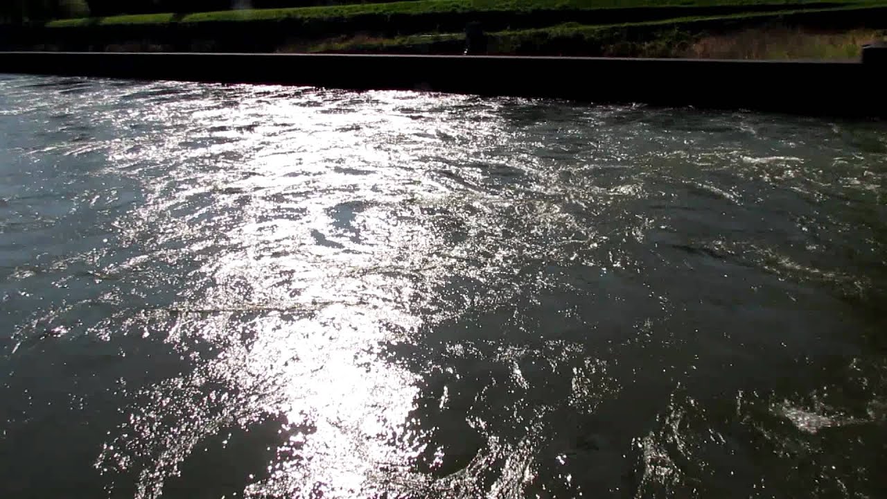 Current through the Cascade Locks along the Columbia River YouTube