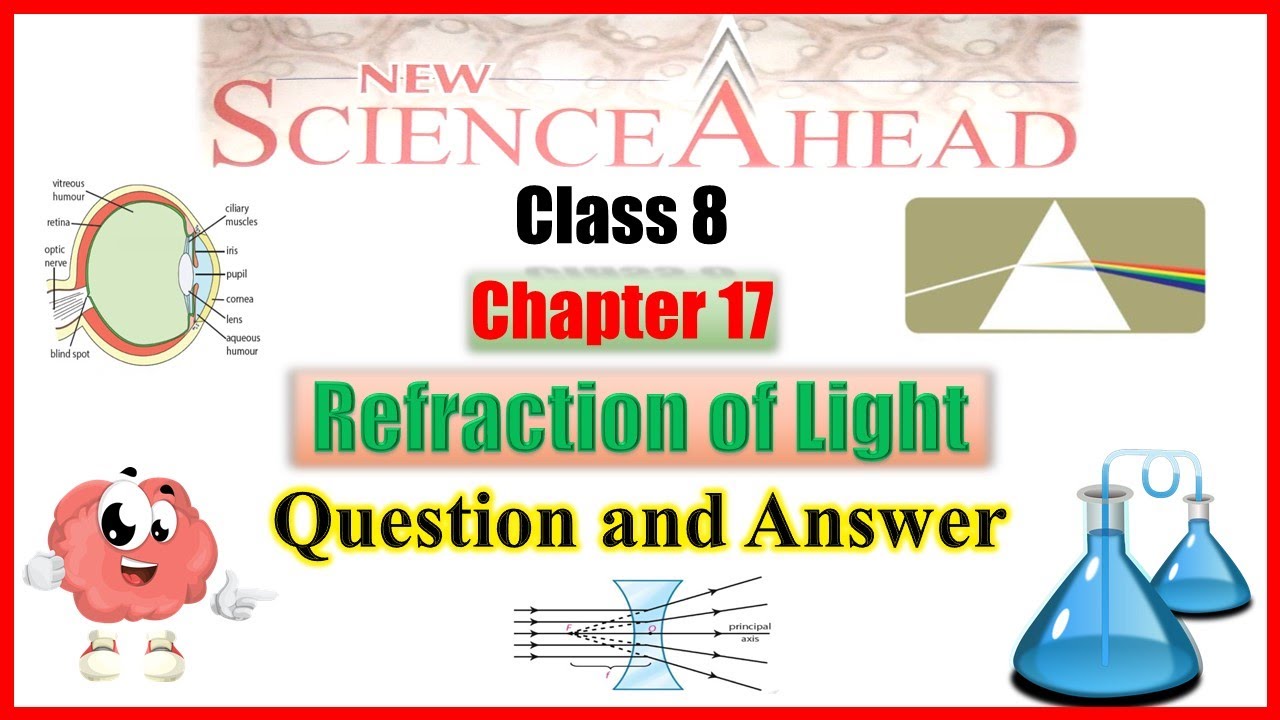 Science Light Class 8 Notes at Declan Newling blog
