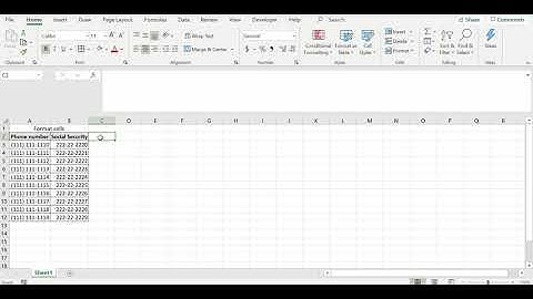 Format cells in Excel Number Special Phone Number Social Security Number Zip Code