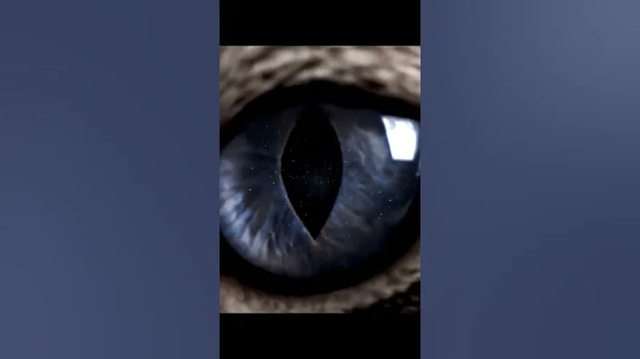 Watch the video about Eyes of a siamese cat #asmr #cat #chill #kitten #cutecat #house #cute #pov #kitty #funny