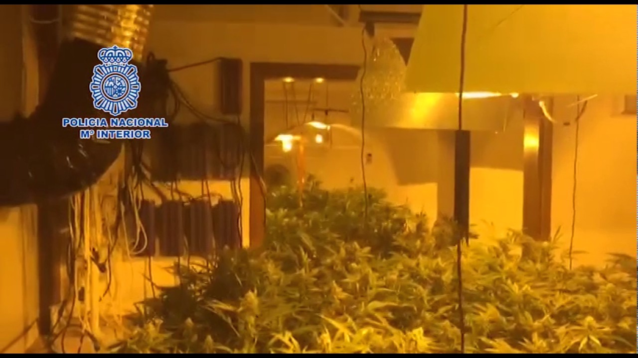 Invernaderos marihuana Arrecife camera iphone 8 plus apk