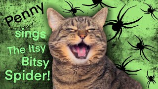 Penny sings a very unique version of The Itsy Bitsy Spider! Resimi