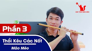 Dạy Học Thổi Sáo Trúc | Phần 3