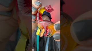 Weirdest Products In The World