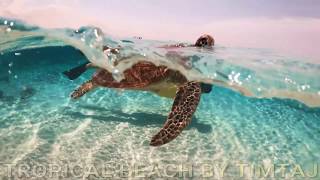 Tropical Beach by TimTaj & Tropical Beach Music & Tropical Music Instrumental