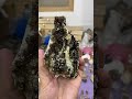 Andradite Garnet Form Skardu Crystals Gemquality Gemstones Thepmgemstones Andradite Garnet Form Skardu Crystals Gemquality Gemstones Thepmgemstones