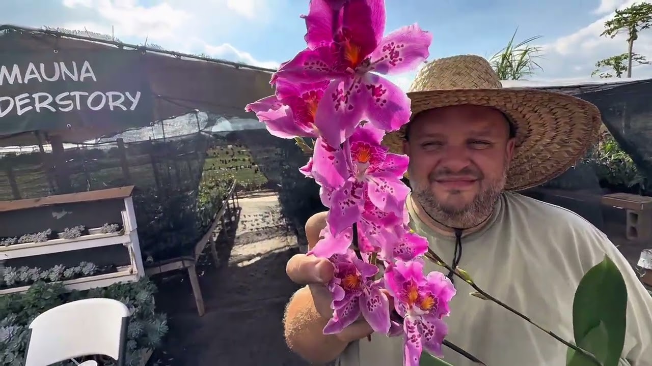 Another unboxing at Mauna Understory! 