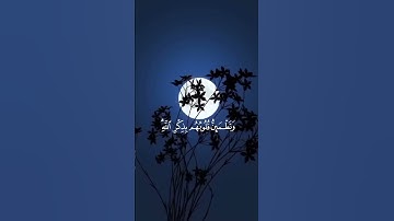 سورة الرعد:الآية 28 #فارس_عباد