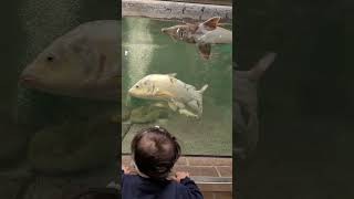 Zoo Duisburg 2024