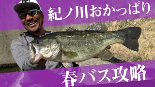 気難しい春のバスを攻略！紀の川おかっぱり / 秦拓馬【バス釣り】