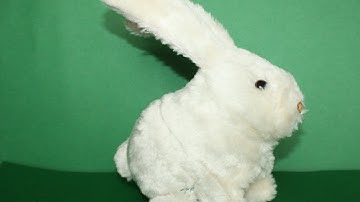 Robbie the Hopping, Wiggly Nose Bunny Rabbit Talking Plush Toy [HD]