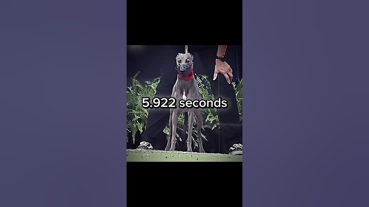 Usain Bolt HUMBLED by some dog ☠️ #fast #running #sports #edit