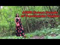 Asmr relaxing nature sounds at trenianske teplice 