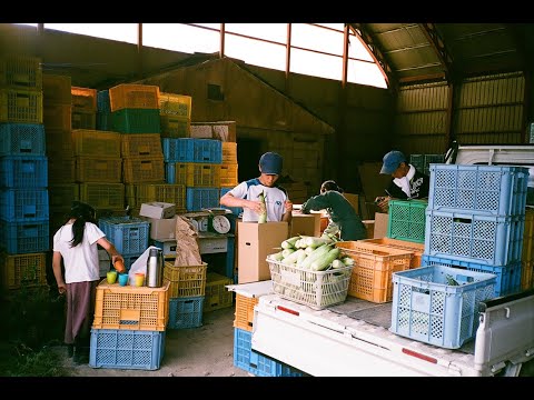 A month on a farm in hokkaido, japan