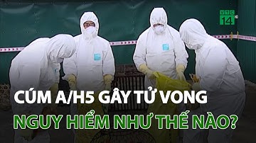 Cúm A/H5 gây tử vong cho thanh niên 21 tuổi nguy hiểm như thế nào? | VTC14