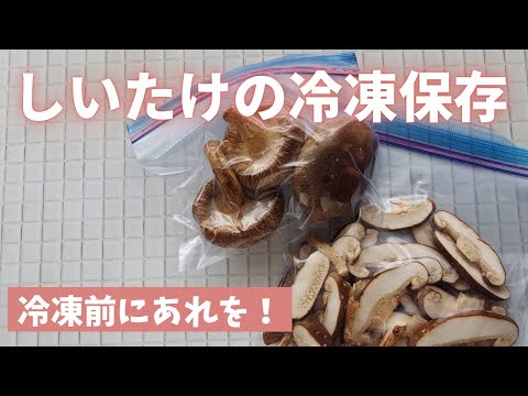 [Freezing Shiitake Mushrooms] Freezing them whole is convenient. You can cut them even while they...
