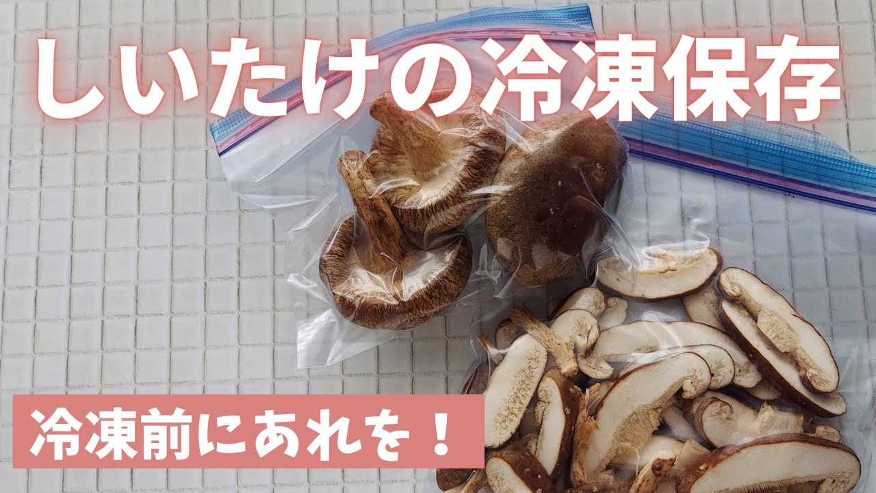 【椎茸の冷凍保存】丸ごと冷凍が便利。凍ったままでも切れます！