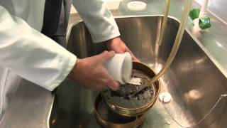 How to transfer invertebrates into a tray
