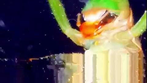 i₦ - Şək₮üĦ [ audio visual glitch experiment with grasshopper]