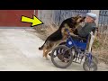 Čovjek je izgubio nogu zbog bolesti.Ono što njegov pas radi za njega ODUŠEVILO je mnoge !