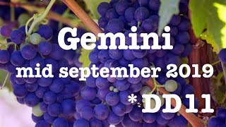 GEMINI 🐞 "WOW 1,2,3, EPIPHANIES GEMINI!" MID SEPTEMBER 2019 LOVE & GENERAL READING GEMINI 🐞 "WOW 1,2,3, EPIPHANIES GEMINI!" MID SEPTEMBER 2019 LOVE & GENERAL READING