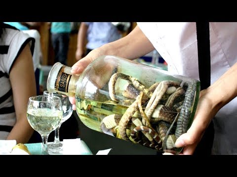 КОВАРНАЯ ЗМЕЯ ИЗ НАСТОЙКИ УКУСИЛА ЖЕНЩИНУ