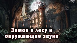 Замок с привидениями: воющий волк ASMR, рычание, совы, вороны, жуткий ветер