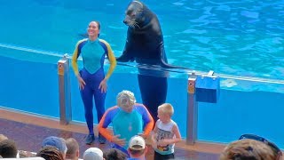 HIGHLIGHTS: 'Sea Lions Tonite' show at SeaWorld Orlando