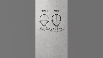 How to draw Male️ & Female Head ✨ #drawing #tutorial #howtodraw #shorts #viral #fypシ#head